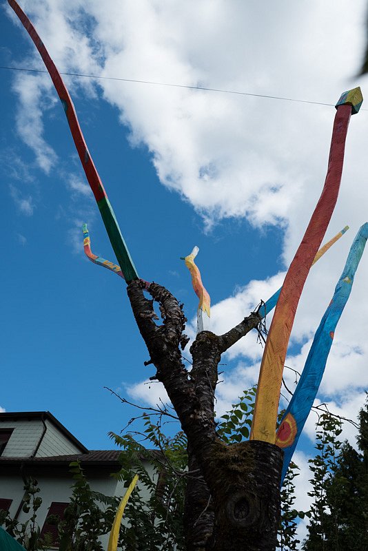 Farben Garten Freuden Fest